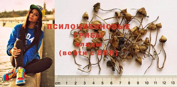 крисы Балахна