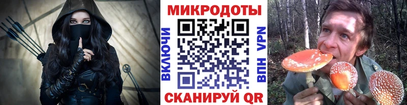 Псилоцибиновые грибы MAGIC MUSHROOMS где найти наркотики Каменка